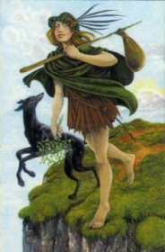 Druidcraft Fool